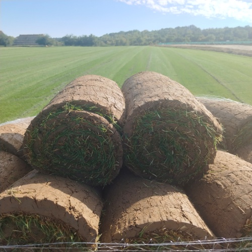 Kobercové trávníky na farmě pana Komárka